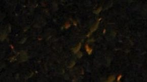 Jose Alberto Castro y Angelica Rivera | Mezcalent