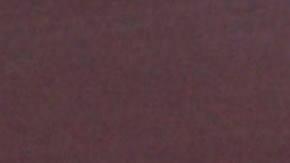 Javier Alatorre | Mezcalent