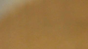 Daniel Bisogno | Mezcalent