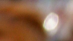 Armando Manzanero | Mezcalent