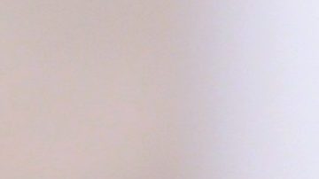 Ana Brenda Contreras | Mezcalent