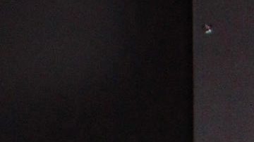 Bárbara de Regil | Mezcalent