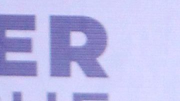 Angelique Boyer | Mezcalent