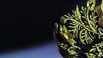 Alex Fernández | Mezcalent