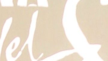 Carolina Sandoval | Mezcalent