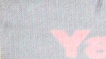 Horacio Palencia | Mezcalent