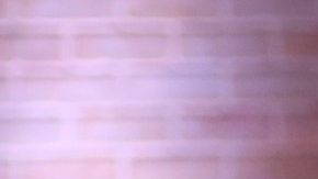 Will Smith | Mezcalent