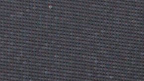 Ana Brenda Contreras