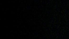 Michael Jackson | Phil Walter / Getty Images