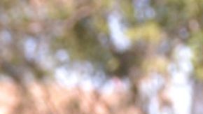 Grettell Valdéz es Ana Caballero en Médicos Línea de Vida | Mezcalent.