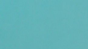 Juan Osorio | Mezcalent