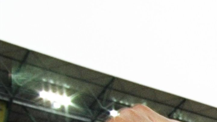 Luis Hernandez
