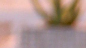 Marlene Favela participará en NBL | Mezcalent