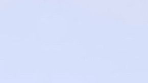 Ninel Conde | Mezcalent