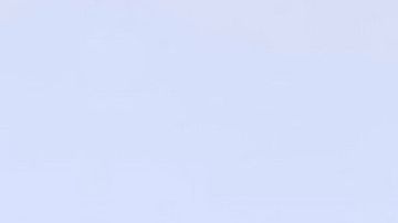 Ninel Conde | Mezcalent