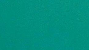 Pedro Armendáriz Jr.