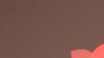 María Celeste Arrarás en la alfombra roja de El Secreto de Selena para Telemundo | Mezcalent