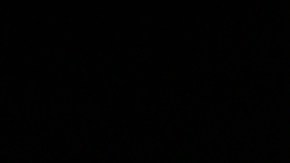 Christopher Levy y William Levy