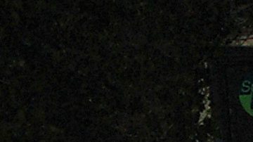 Anel y Marysol Noreña | Mezcalent