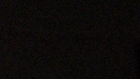 Alfredo Adame | Mezcalent