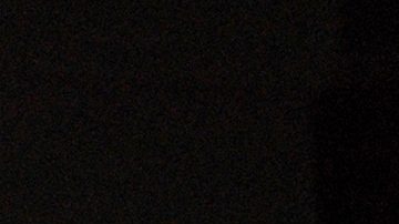 Alfredo Adame | Mezcalent