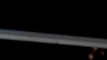 Patricio Borghetti | Mezcalent