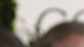 Robert Pattinson | Mezcalent