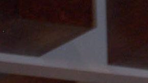 Daniel Bisogno | Mezcalent