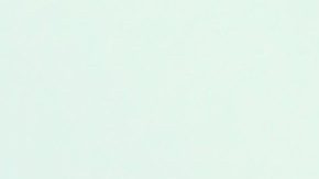 Robert Rodriguez | Mezcalent