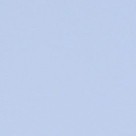 Amelia Vega | Mezcalent