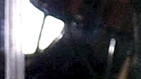 Luis Miguel | Mezcalent