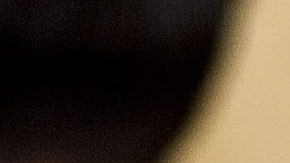 Sofía Vergara quiso homenajear a su país | Mezcalent