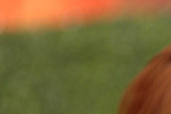 Bruce Willis | Mezcalent