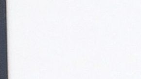 Taylor Swift | Mezcalent