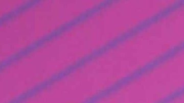 Andrea Escalona | Mezcalent