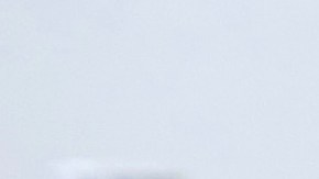 Galilea Montijo y Andrea Legarreta | Mezcalent