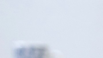 Galilea Montijo y Andrea Legarreta | Mezcalent