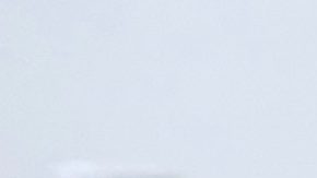 Galilea Montijo - Andrea Legarreta | Mezcalent