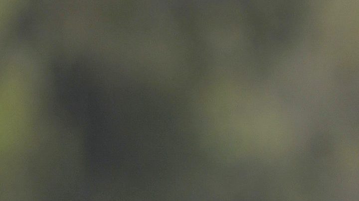 Cuauhtémoc Blanco | Mezcalent