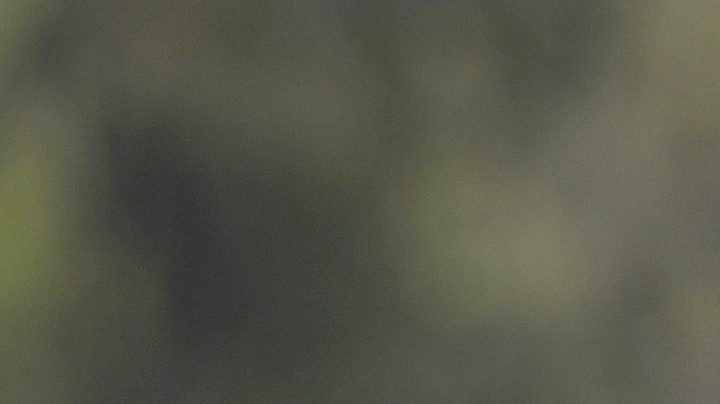 Cuauhtémoc Blanco | Mezcalent