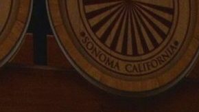 Irina Baeva y Gabriel Soto | Mezcalent