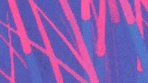 Danna Paola | Mezcalent