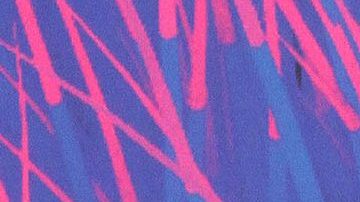 Danna Paola | Mezcalent