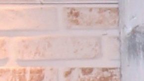 Marlene Favela y George Seely no se han podido ver desde que comenzó la pandemia | Mezcalent