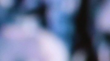 Sebastián Rulli | Mezcalent