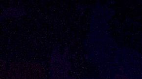 Daniela Castro | Mezcalent