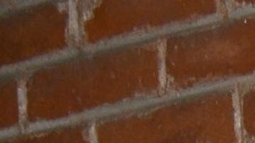 Erika Buenfil | Mezcalent