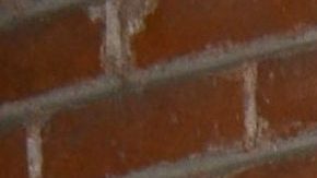 Erika Buenfil | Mezcalent