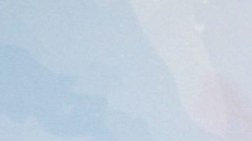 Luz María Zetina | Mezcalent