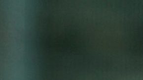 Javier "Chicharito" Hernández | Mezcalent